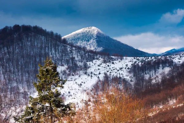 Montañas Del Parque Nacional Naturaleza Uzhanian Invierno Pintoresco Paisaje Natural — Foto de Stock