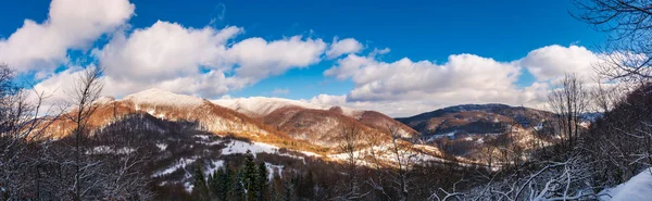 Kış Uzhanian Milli Doğa Parkı Panoraması Güneşli Bir Günde Kabarık — Stok fotoğraf