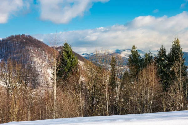 雪に覆われた斜面林 曇った冬の夜に山の美しい自然風景 — ストック写真