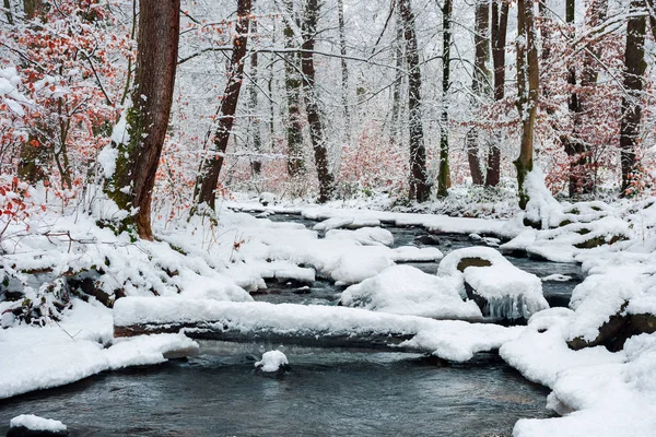 Tronco Sobre Arroyo Bosque Invierno Lleno Nieve Paisaje Tranquilo Naturaleza —  Fotos de Stock