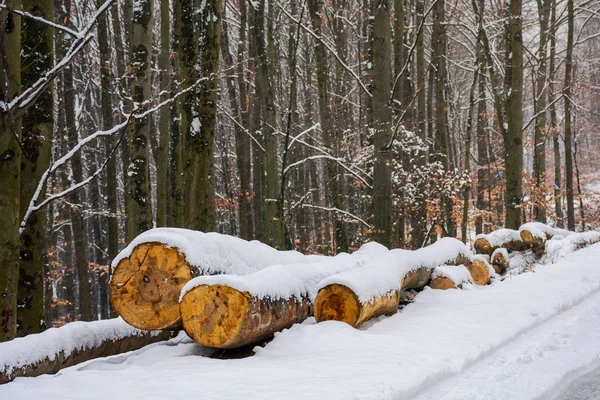 Tronchi Legno Sulla Neve Lungo Strada Attraverso Foresta Combustibile Naturale — Foto Stock