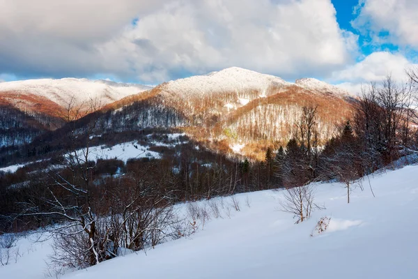 斜面や雪の上で森林に覆われた山 冬の風景で日当たりの良い — ストック写真