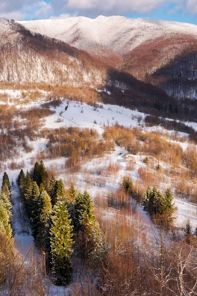 Bela Paisagem Inverno Montanhosa Dia Ensolarado Árvores Abeto Para Baixo — Fotografia de Stock