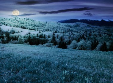 İlkbahar gece güzel dağlık köyde. otsu çayır ve ormanlık hill. tazelik doğa kavramının