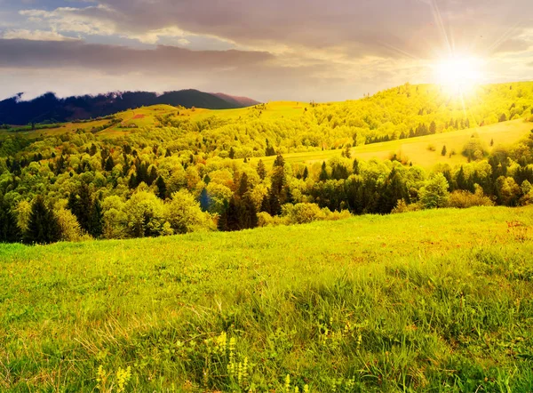 Prachtige Bergachtige Landschap Het Voorjaar Bij Zonsondergang Grazige Weiden Beboste — Stockfoto