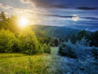 day and night time change concept. forested area in mountains with sun and moon. calm nature with green grassy meadow and cloudy sky clipart