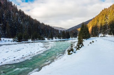 kışın dağ nehir. kar nehir bankalar kapalı. uzak dağ karda ormanda. bulutlu sabah
