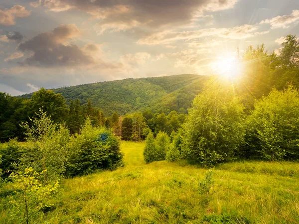 Zalesionej Okolicy Górach Zachodzie Słońca Świetle Wieczoru Natura Zielony Łąka — Zdjęcie stockowe