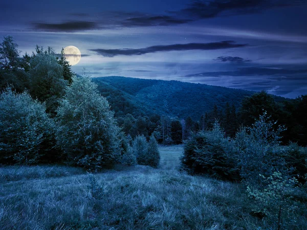 Zone Boisée Dans Les Montagnes Nuit Pleine Lune Nature Calme — Photo