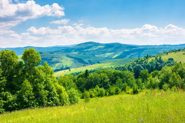 Beautiful Summer Landscape Mountains Grassy Meadow Green Foliage Blue Sky — Stock Photo, Image