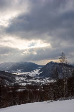 dağlarda kasvetli kış günü. Karanlık Orman karlı çayır arkasında. uzak vadiye gri bulutlu gökyüzü düşüşün ışık demeti