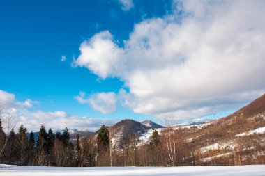 güzel kış manzara dağlarda. yapraksız huş ağacı orman karlı bir yamaç. masmavi bir gökyüzü üzerinde yumuşacık bulut ile harika güneşli hava