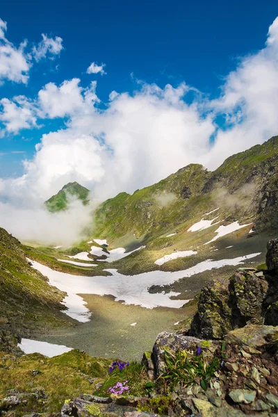 Maravilloso Paisaje Primavera Las Montañas Ladera Rocosa Con Hierba Verde — Foto de Stock