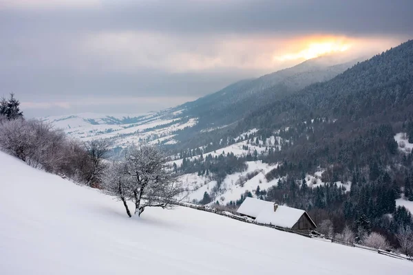 美妙的雪域在山上 在雪坡上的树和木棚 冬日的太阳在山脊和多云的天空后面升起 — 图库照片