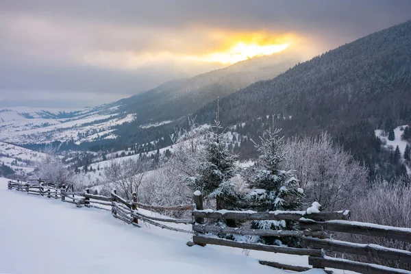 美妙的雪域在山上 在斜坡的边缘的云杉树和木栅栏 冬日的太阳在山脊和多云的天空后面升起 — 图库照片