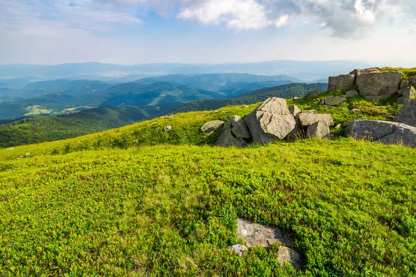 Gräsbevuxen Sluttning Med Enorma Klippor Underbar Sommarlandskap Bergen Gräsbevuxen Sluttning — Stockfoto