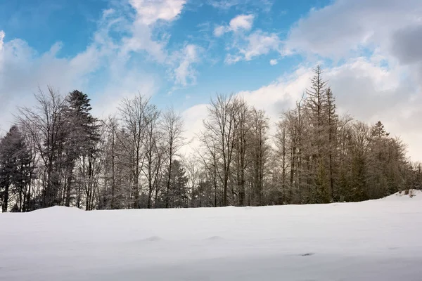 Ağaçlar Karlı Bir Tepe Üzerinde Güzel Doğa Manzarası Ile Kışın — Stok fotoğraf