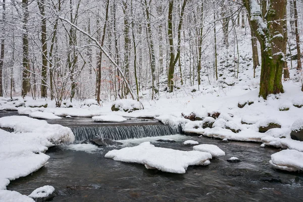 Piccola Cascata Sul Torrente Foresta Inverno Bellissimo Paesaggio Naturale — Foto Stock