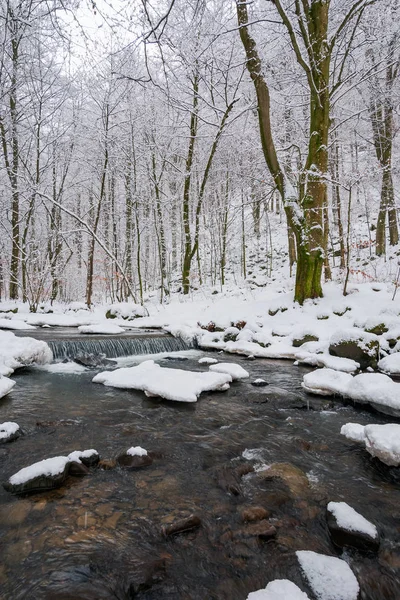 Pequena Cascata Riacho Floresta Inverno Belo Cenário Natureza — Fotografia de Stock