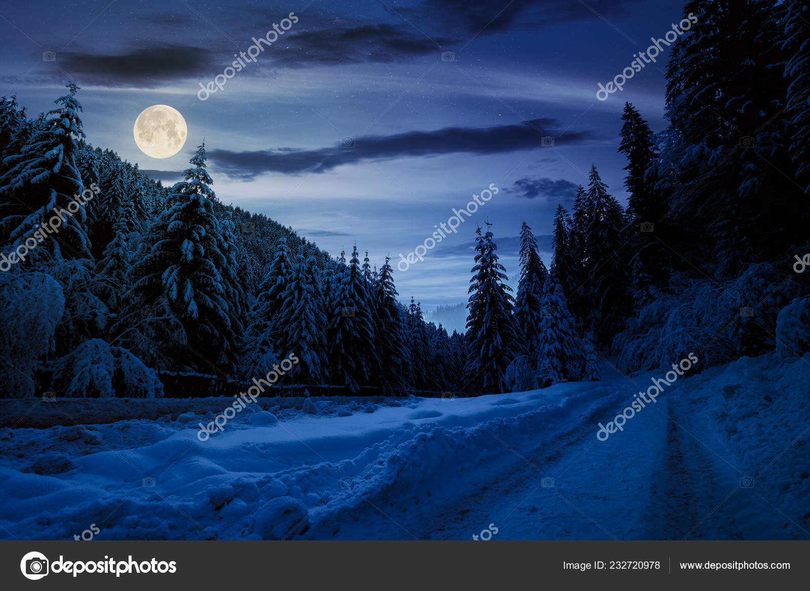 Road Snow Winter Forest Night Full Moon Light Beautiful Scenery Stock Photo Image By C Pellinni Road Snow Winter Forest Night Full Moon Light Beautiful Scenery Stock Photo Image By C Pellinni