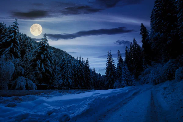 Straße Schnee Durch Den Winterwald Bei Vollmondlicht Schöne Landschaft Den — Stockfoto