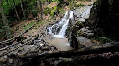 güzel şelale orman içinde. harika bahar doğa manzara. düşen ağaçlar ve çevresinde büyük rock