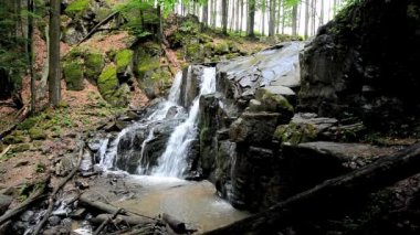 güzel şelale orman içinde. harika bahar doğa manzara. düşen ağaçlar ve çevresinde büyük rock