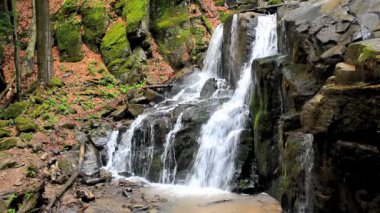 güzel şelale orman içinde. harika bahar doğa manzara. düşen ağaçlar ve çevresinde büyük rock