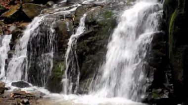 güzel şelale ayrıntılar. harika bahar doğa manzara. atış kapatın.
