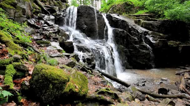 Schöner Wasserfall Wald Wunderschöne Frühlingshafte Naturkulisse Umgestürzte Bäume Und Riesiger — Stockvideo