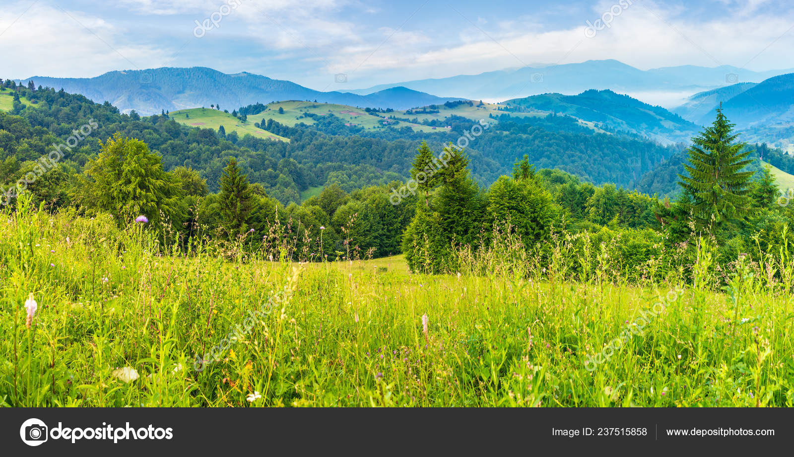 Grassy Hills and Mountains Background Pack