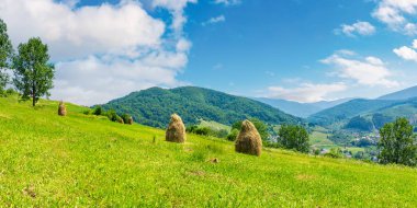 haystacks yaz aylarında çimenli bir tepede. güzel yaz manzara dağlarda. Karpat kırsal öğlen. harika hava biraz kabarık bulutların üstünde mavi gökyüzü ile. Vadideki Köyü