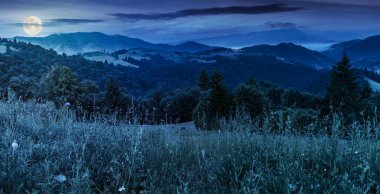 dağlar gece dolunay ışık güzel bir otsu çayır Panoraması. Orman bir yamaca çeki düzen vermek. tepeler içinde mesafe sisli vadiye düşmek. Harika yaz manzara