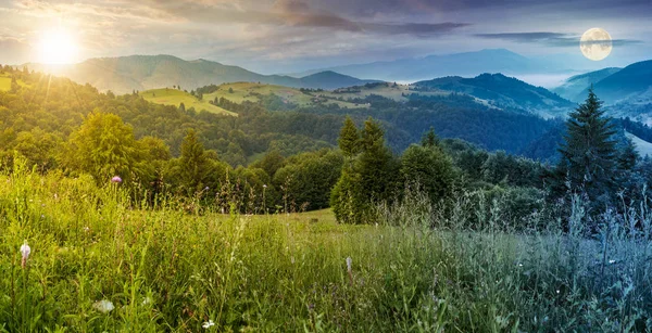 time change above panorama of a beautiful meadow in mountains. spruce trees on a hillside. rolling hills fall down in to the foggy valley in the distance. wonderful summer landscape with sun and moon