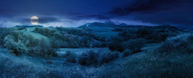 güzel kırsal panorama ilkbahar gece dolunay ışık içinde. çimenli tepeler ve çayırlar. yamaçlarda yeşil yeşillik ağaçlarıyla. dağın tepesinde uzakta. muhteşem doğa manzarası