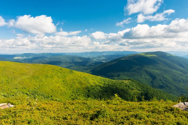 Prachtige Landschap Van Karpaten Grazige Alpenweiden Diepe Valleien Verre Beboste — Stockfoto