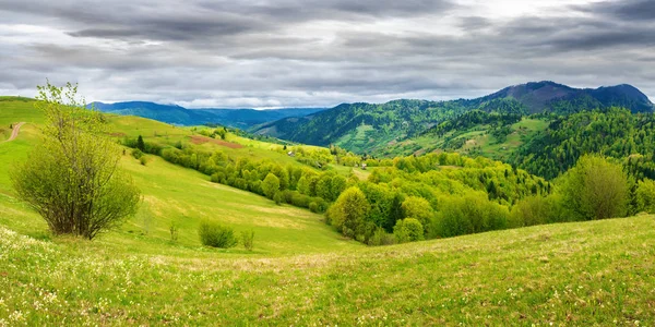 Panorama Wsi Góry Pochmurny Dzień Piękny Krajobraz Wiosenny — Zdjęcie stockowe