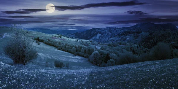 Panorama Campo Montanha Noite Luz Lua Cheia Bela Paisagem Primavera — Fotografia de Stock