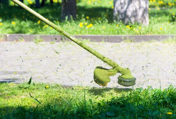 Gek Gras Snijden Het Park Met Benzine Trimmer Hoofd Met — Stockfoto