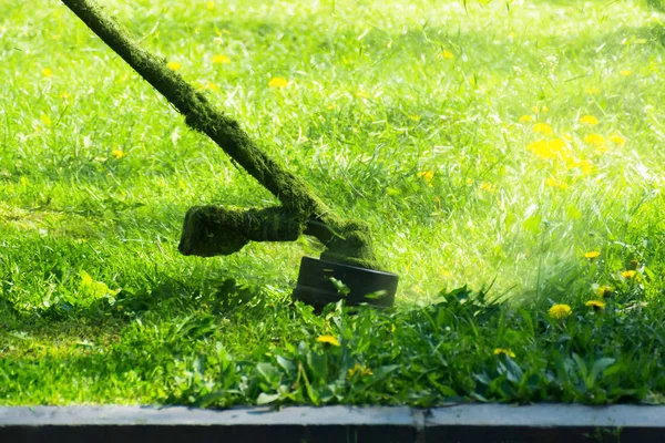 Crazy Grass Cutting Brushcutter Head Nylon Line Cutting Grass Dandelions — Stock Photo, Image