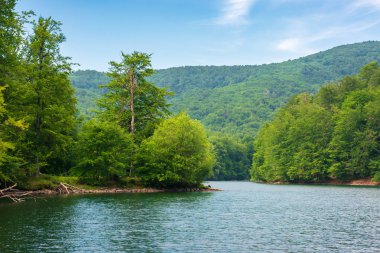 Morske Oko Gölü ilkel kayın ormanı arasında. yaz sonu güzel Vihorlat manzara Slovakya. temiz çevre kavramı. Harika Avrupa macerası