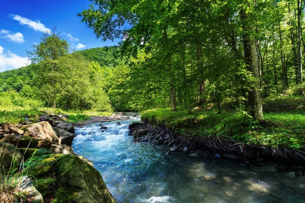Красивый Летний Пейзаж Небольшой Лесной Реки Бушующая Вода Течет Между — стоковое фото