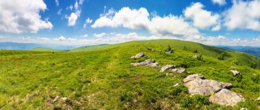 Güzel Karpat alpine meadows Panoraması. Harika yaz manzara. kabarık bulutların üstünde mavi gökyüzü. bir tepenin kenarında taşlar