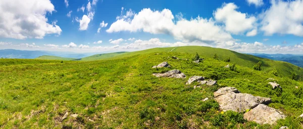 Panorama Krásné Karpatské Horské Louky Nádherné Letní Krajina Načechraný Mraky — Stock fotografie