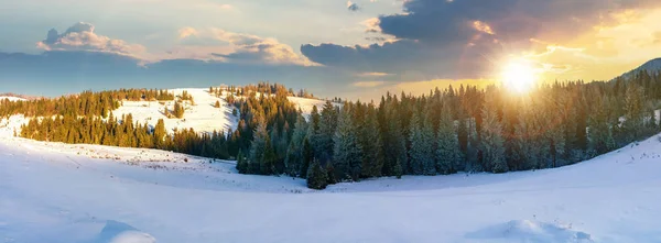 Panorama Uma Bela Paisagem Inverno Pôr Sol Luz Noite Floresta — Fotografia de Stock