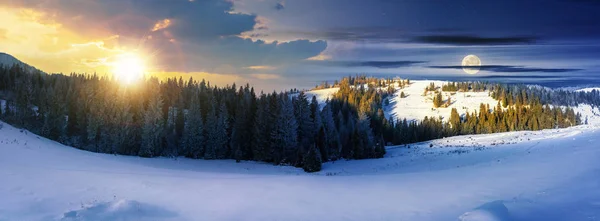 Панорама Дневного Ночного Времени Меняется Над Зимним Пейзажем Еловые Леса — стоковое фото