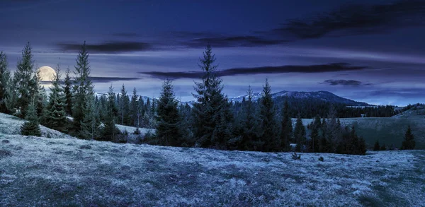 Panorama Przepięknej Okolicy Górach Nocy Świetle Księżyca Pełni Świerki Łące — Zdjęcie stockowe