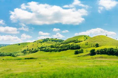 yeşil tepe yaz manzara içinde. güzel kırsal manzara. kabarık bulutların üstünde parlak mavi gökyüzü. uygulanan efekti tilt-shift ve hareket bulanıklığı.