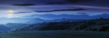 Romanya kırsal gece dolunay ışık harika bahar peyzaj Dağları Panoraması. çimenli alan ve tepeler. kırsal manzara