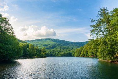 Göl ilkel kayın ormanı arasında. vihorlat Dağları'nın Morske oko popüler hedef. Yaz macera kavramı. Slovakya'nın manzara keşfedin